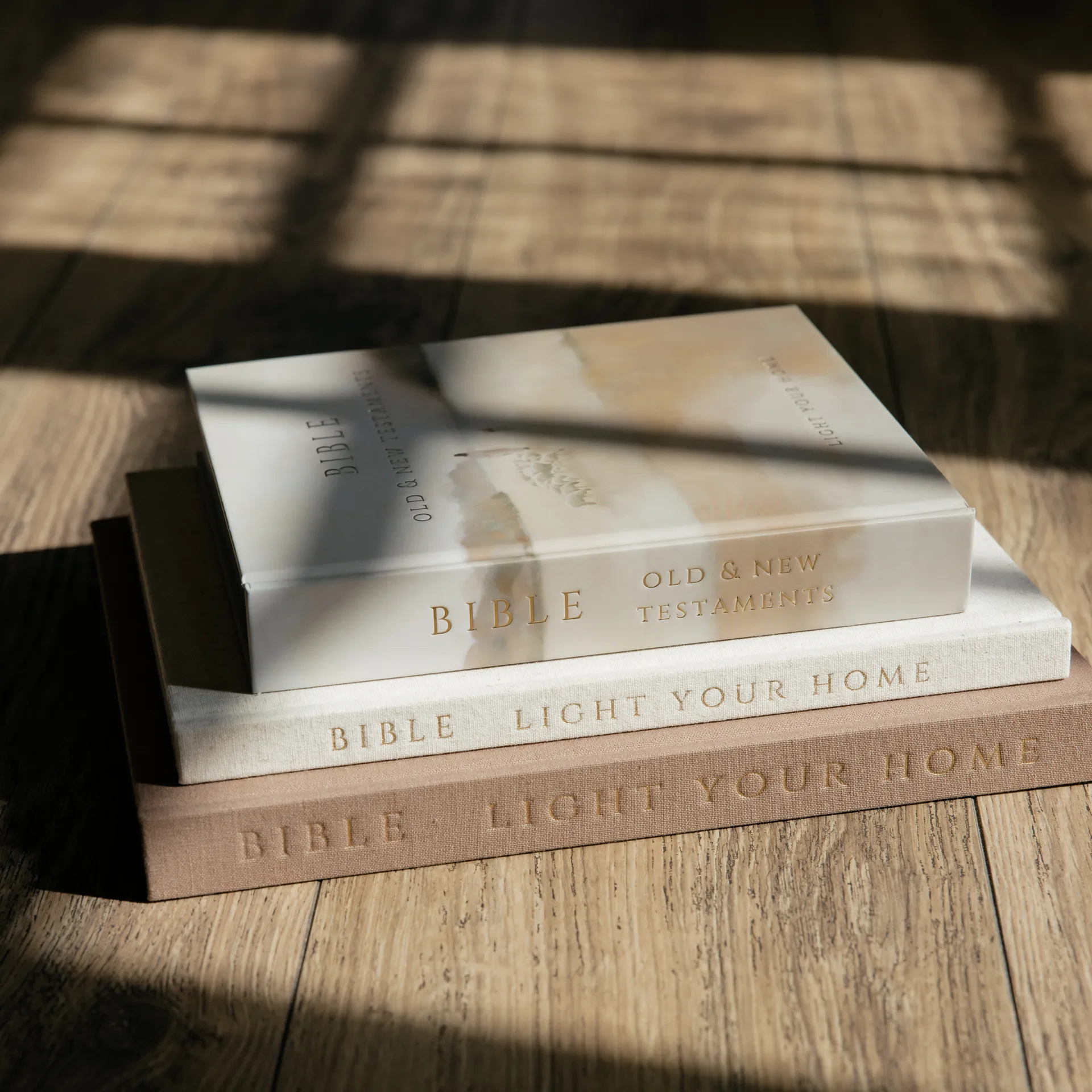 Bible - Jesus Leaves The 99 - Image 6