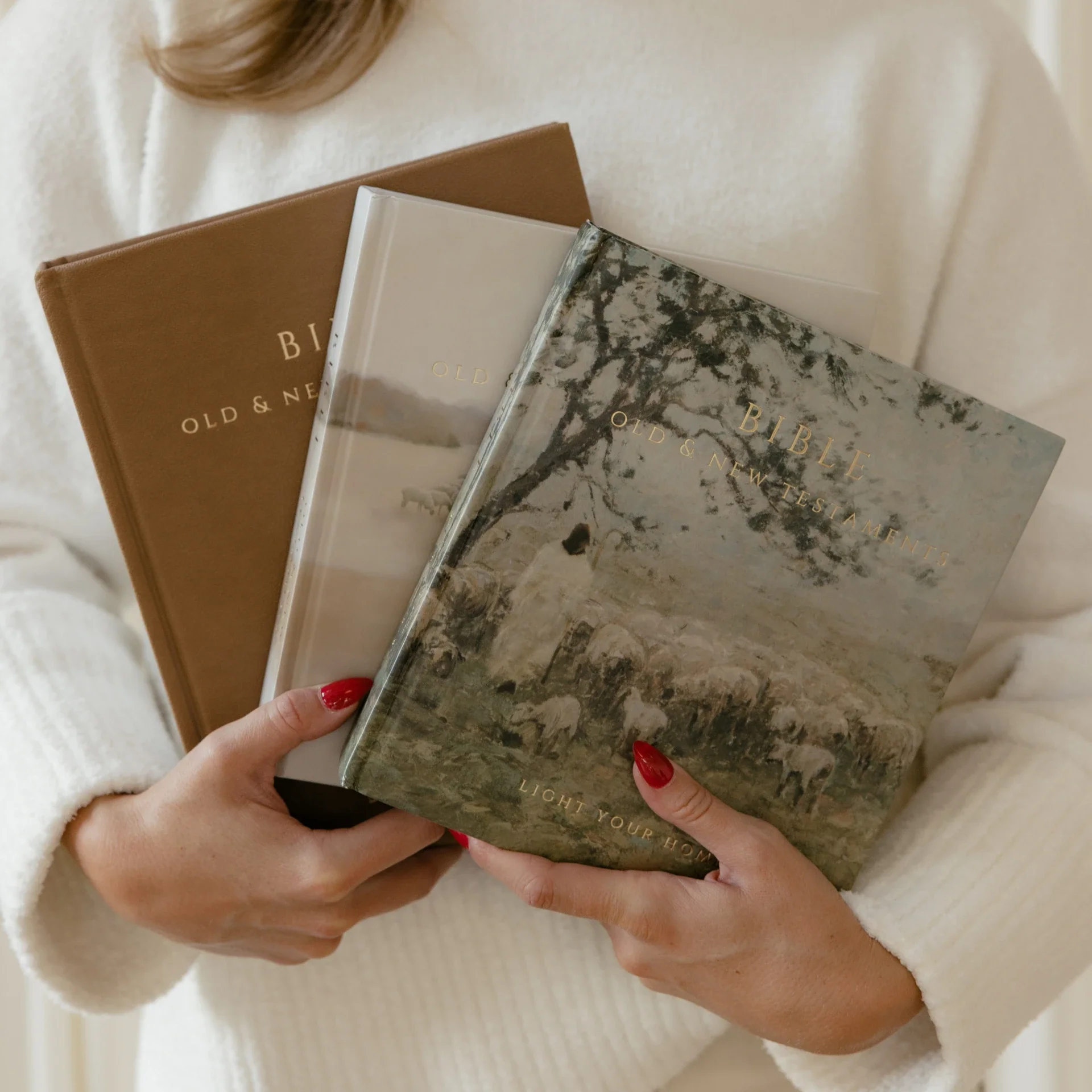 Bible - The Shepherds Call - Image 6